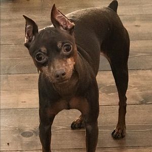 Meet your Posher, Rhea